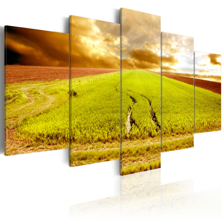 Canvas Art Print Wheels traces on a field 58503 additionalImage 2