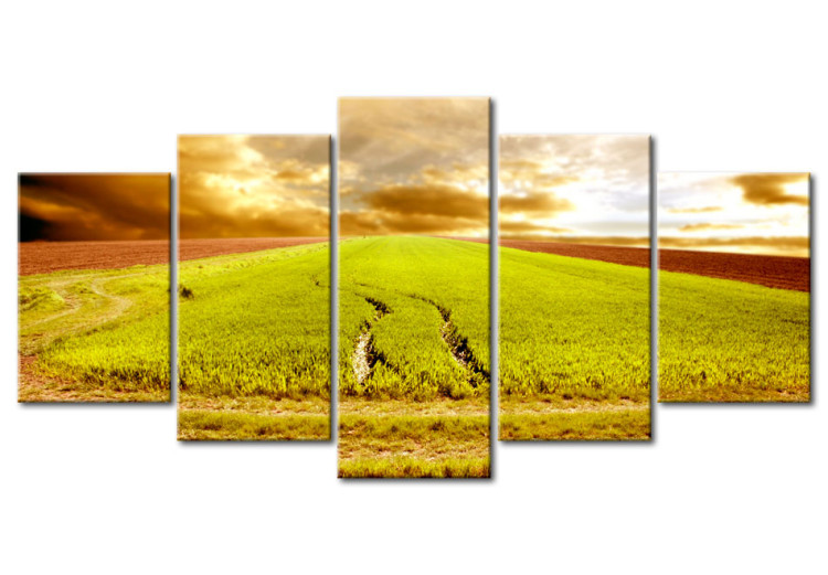 Canvas Art Print Wheels traces on a field 58503