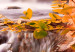 Print On Glass Autumn's Valley [Glass] 92503 additionalThumb 4