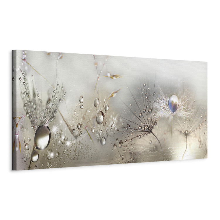 Canvas Art Print Dandelions in Fog (1-piece) - Romantic Beige Summer Flowers 106213 additionalImage 2