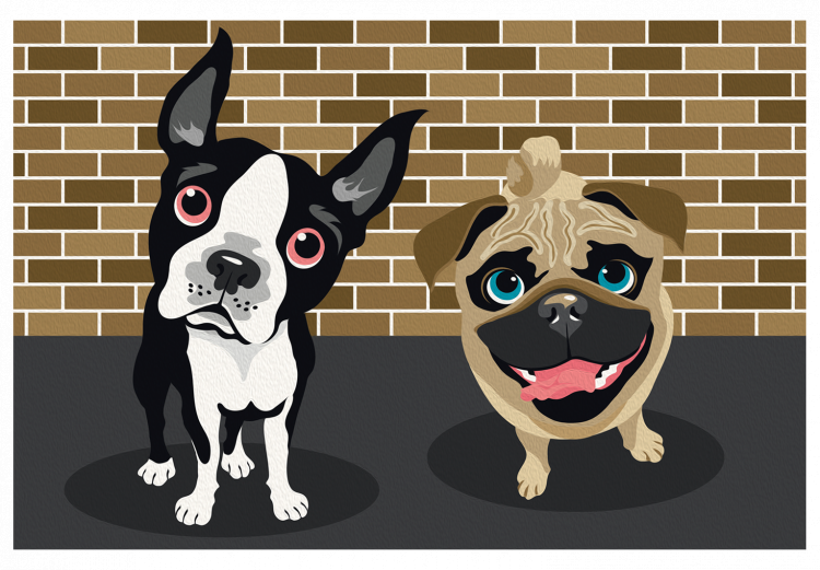 Paint by numbers pug sale
