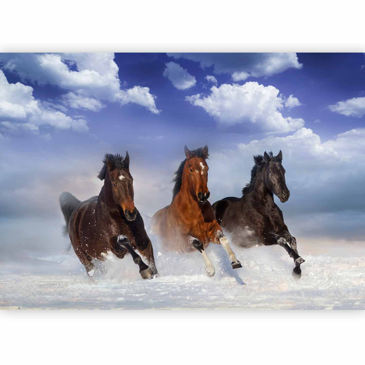 Wall Mural Horses in the Snow 108213 additionalImage 5