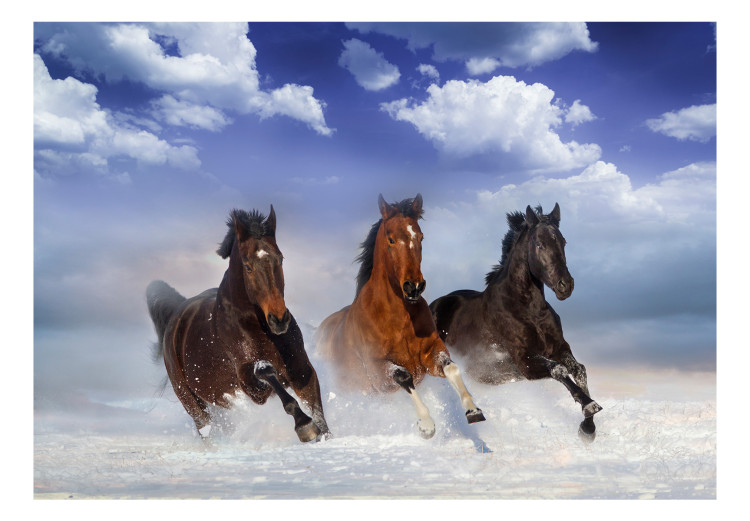 Wall Mural Horses in the Snow 108213 additionalImage 1