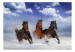Wall Mural Horses in the Snow 108213 additionalThumb 1