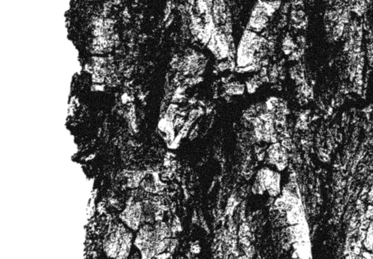 Poster Tree Bark - black and white vertical composition on a solid white background 116613 additionalImage 9