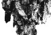 Poster Tree Bark - black and white vertical composition on a solid white background 116613 additionalThumb 10