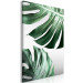 Canvas Print Monstera Leaves (1 Part) Vertical 117113 additionalThumb 2
