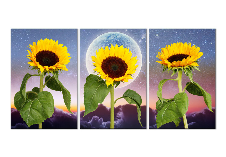 Canvas Art Print Sunflowers on clouds background - triptych with flowers, moon and sky 124413