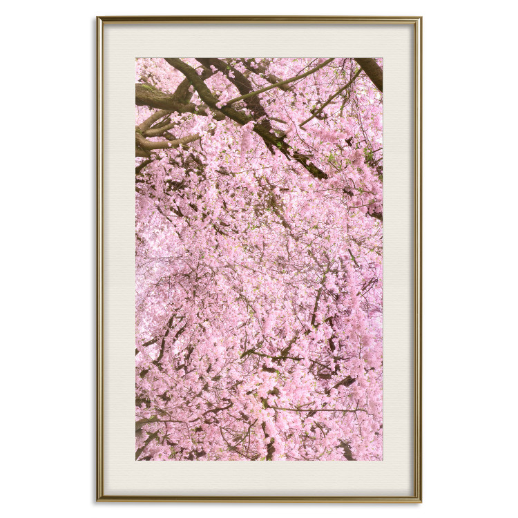 Wall Poster Cherry Tree - spring composition of trees with light pink leaves 126213 additionalImage 19
