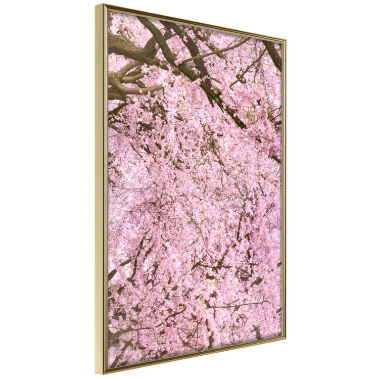 Wall Poster Cherry Tree - spring composition of trees with light pink leaves 126213 additionalImage 14