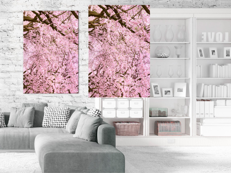 Wall Poster Cherry Tree - spring composition of trees with light pink leaves 126213 additionalImage 23