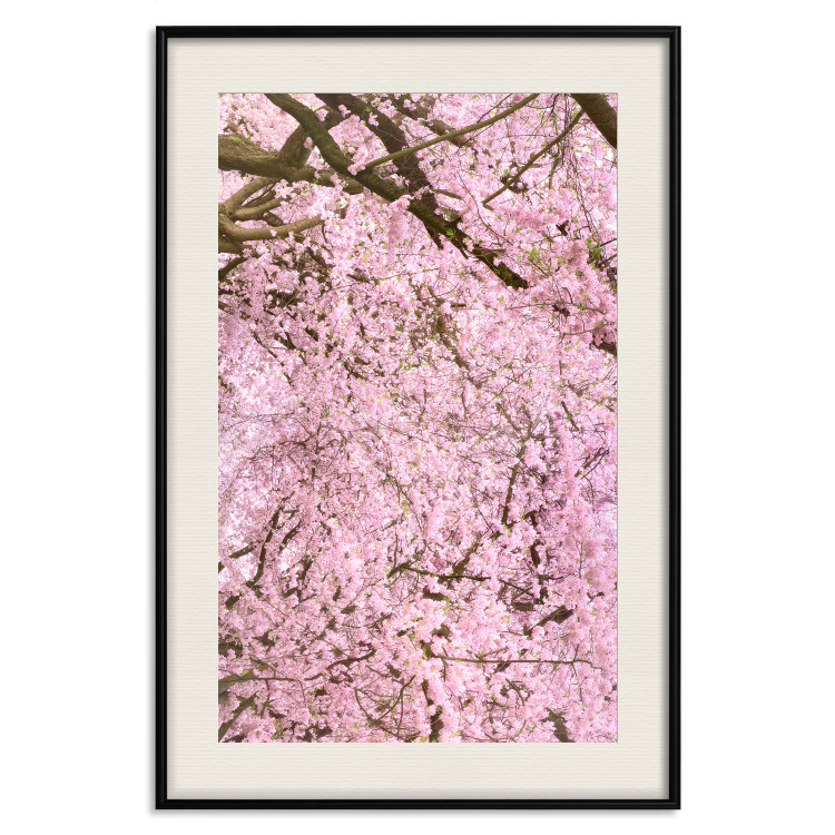 Wall Poster Cherry Tree - spring composition of trees with light pink leaves 126213 additionalImage 18