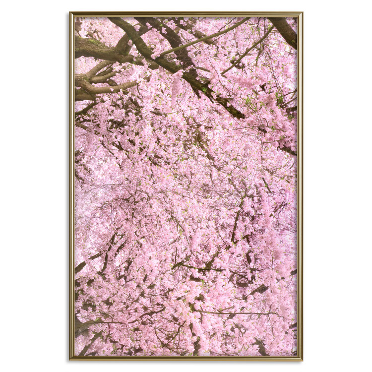 Wall Poster Cherry Tree - spring composition of trees with light pink leaves 126213 additionalImage 20
