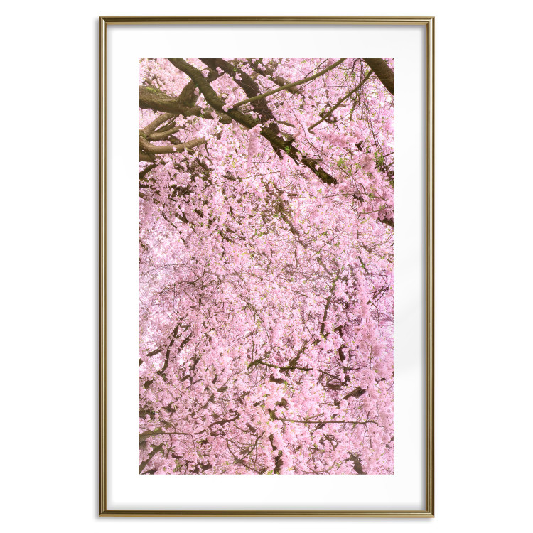 Wall Poster Cherry Tree - spring composition of trees with light pink leaves 126213 additionalImage 14