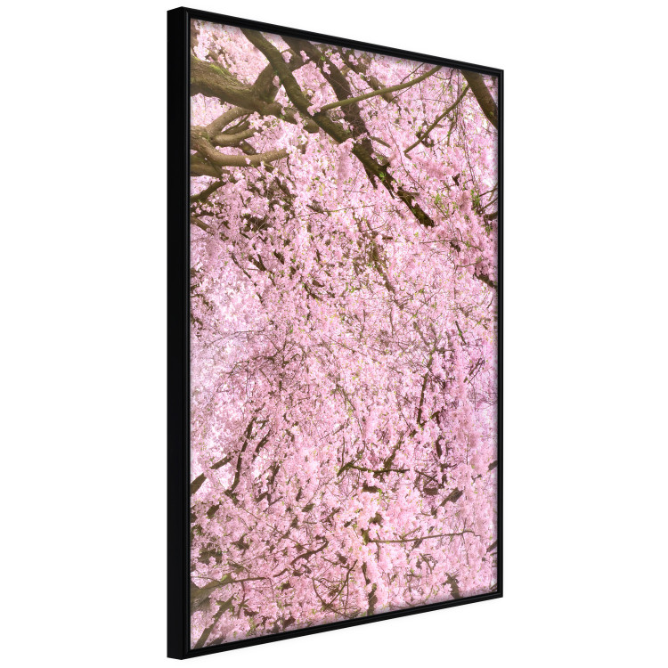 Wall Poster Cherry Tree - spring composition of trees with light pink leaves 126213 additionalImage 12