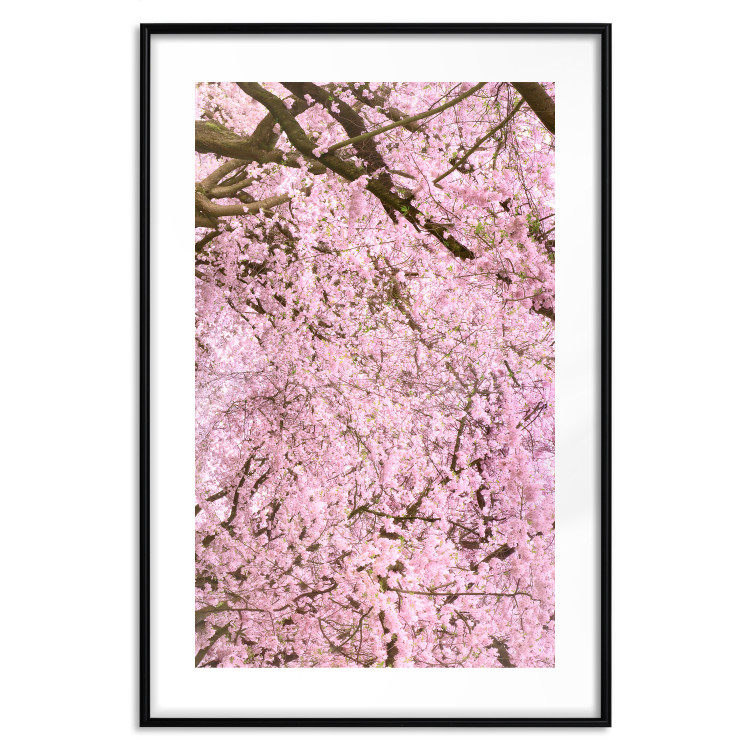 Wall Poster Cherry Tree - spring composition of trees with light pink leaves 126213 additionalImage 17