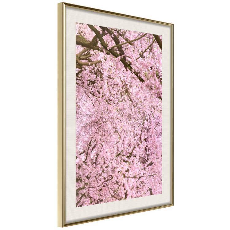 Wall Poster Cherry Tree - spring composition of trees with light pink leaves 126213 additionalImage 2