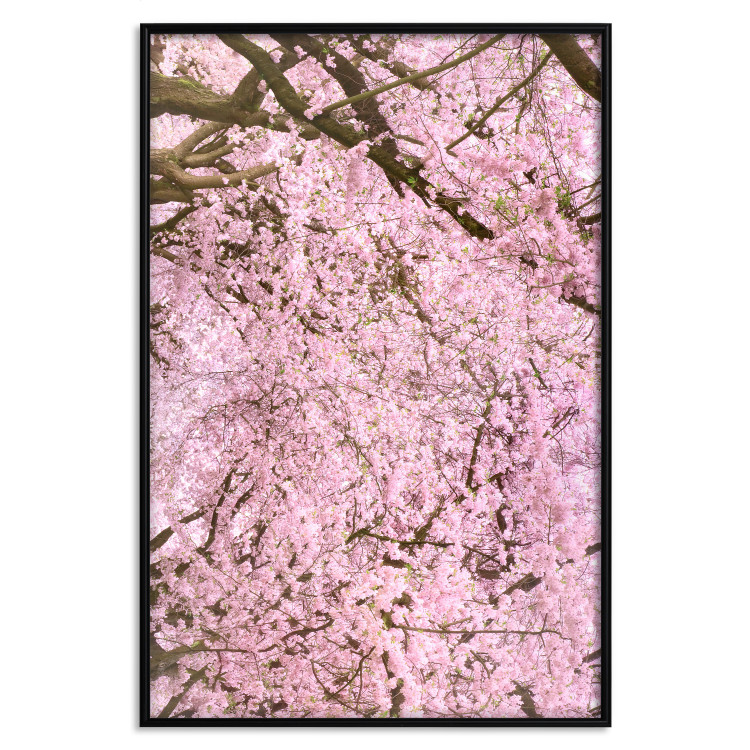 Wall Poster Cherry Tree - spring composition of trees with light pink leaves 126213 additionalImage 18