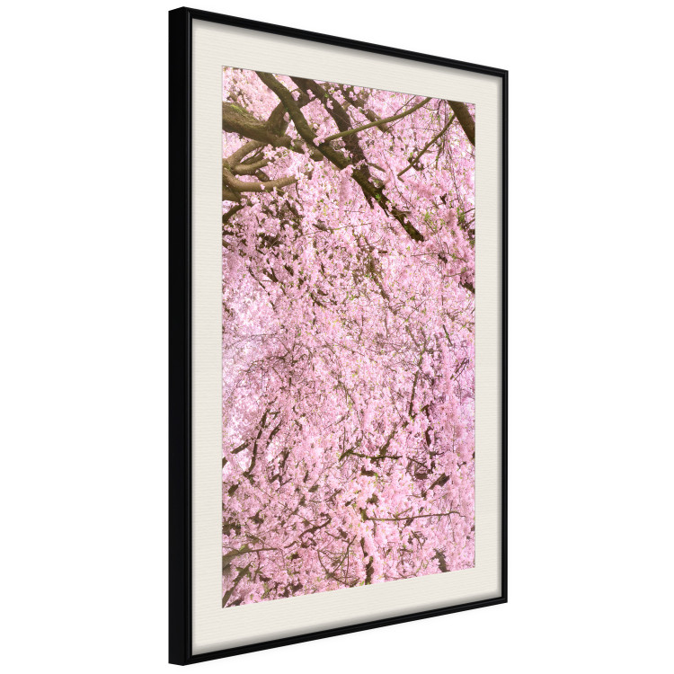 Wall Poster Cherry Tree - spring composition of trees with light pink leaves 126213 additionalImage 3