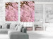 Wall Poster Cherry Tree - spring composition of trees with light pink leaves 126213 additionalThumb 23