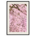 Wall Poster Cherry Tree - spring composition of trees with light pink leaves 126213 additionalThumb 18