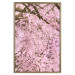 Wall Poster Cherry Tree - spring composition of trees with light pink leaves 126213 additionalThumb 20
