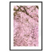 Wall Poster Cherry Tree - spring composition of trees with light pink leaves 126213 additionalThumb 17
