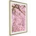 Wall Poster Cherry Tree - spring composition of trees with light pink leaves 126213 additionalThumb 2