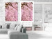 Wall Poster Cherry Tree - spring composition of trees with light pink leaves 126213 additionalThumb 4