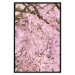 Wall Poster Cherry Tree - spring composition of trees with light pink leaves 126213 additionalThumb 18