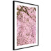 Wall Poster Cherry Tree - spring composition of trees with light pink leaves 126213 additionalThumb 13