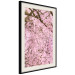 Wall Poster Cherry Tree - spring composition of trees with light pink leaves 126213 additionalThumb 3