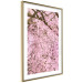 Wall Poster Cherry Tree - spring composition of trees with light pink leaves 126213 additionalThumb 8