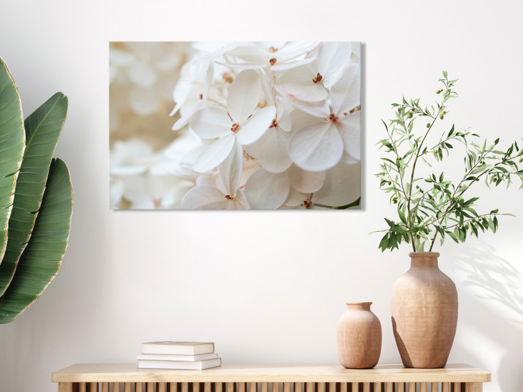 Canvas Print Snowy Hydrangea (1-piece) Wide - four-leaved white flowers 129813 additionalImage 3