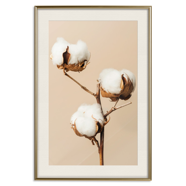 Poster Soft Saturation - plant with cotton flower on a light uniform background 130513 additionalImage 20