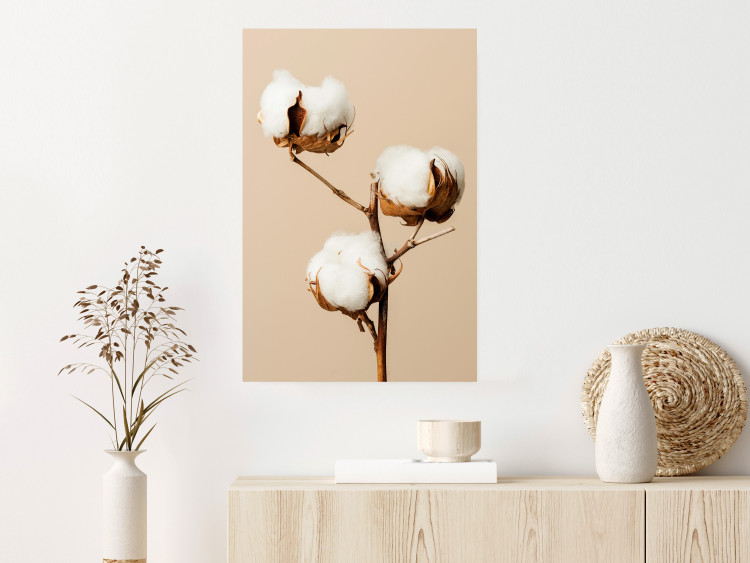 Poster Soft Saturation - plant with cotton flower on a light uniform background 130513 additionalImage 5