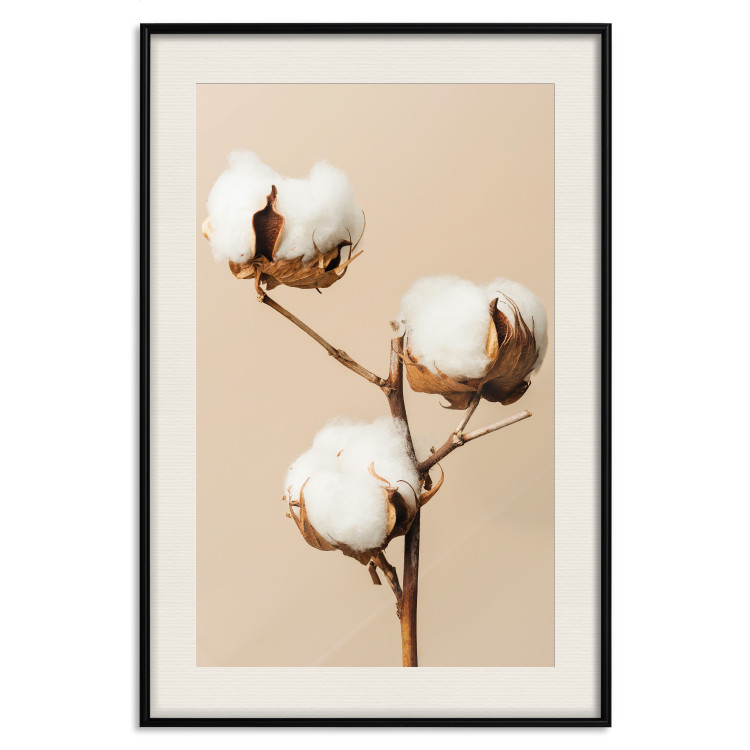 Poster Soft Saturation - plant with cotton flower on a light uniform background 130513 additionalImage 19