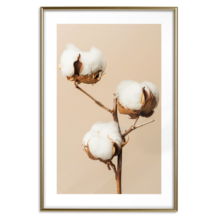 Poster Soft Saturation - plant with cotton flower on a light uniform background 130513 additionalImage 15