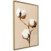 Poster Soft Saturation - plant with cotton flower on a light uniform background 130513 additionalThumb 14