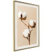 Poster Soft Saturation - plant with cotton flower on a light uniform background 130513 additionalThumb 2