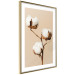Poster Soft Saturation - plant with cotton flower on a light uniform background 130513 additionalThumb 7