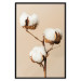 Poster Soft Saturation - plant with cotton flower on a light uniform background 130513 additionalThumb 14