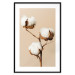 Poster Soft Saturation - plant with cotton flower on a light uniform background 130513 additionalThumb 18