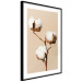 Poster Soft Saturation - plant with cotton flower on a light uniform background 130513 additionalThumb 2