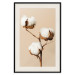 Poster Soft Saturation - plant with cotton flower on a light uniform background 130513 additionalThumb 19