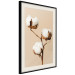 Poster Soft Saturation - plant with cotton flower on a light uniform background 130513 additionalThumb 3