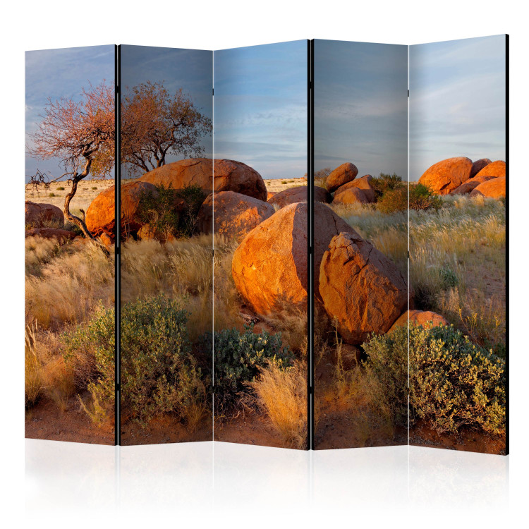 Folding Screen African Landscape (5-piece) - desert landscape of trees and stones 132913