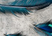 Photo Wallpaper In the wind - blown blue feathers on a concrete textured background 136313 additionalThumb 4