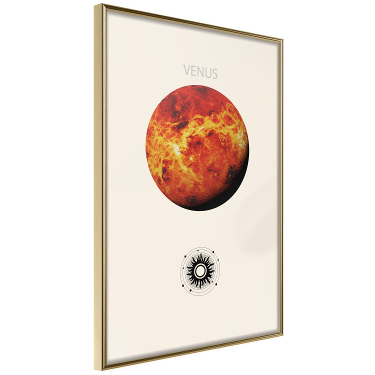 Poster Shining Venus - The Brightest Planet in the Solar System 146313 additionalImage 6