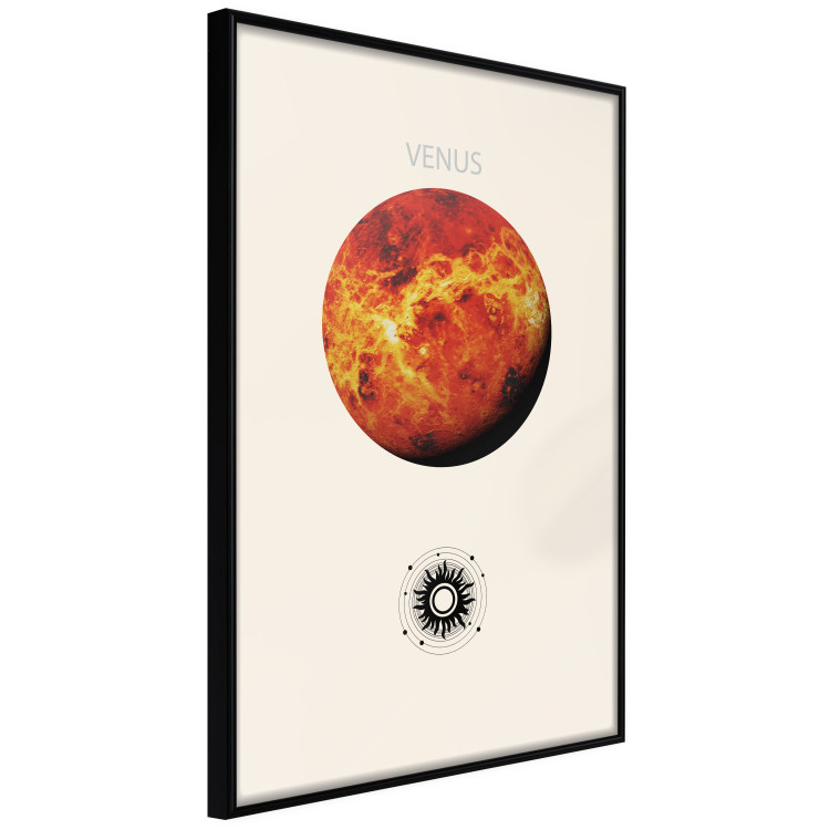 Poster Shining Venus - The Brightest Planet in the Solar System 146313 additionalImage 3